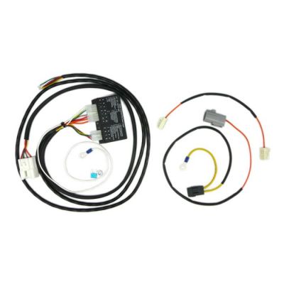 TAG WIRING HARNESS